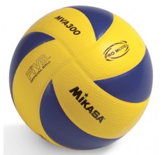 Bola Volly